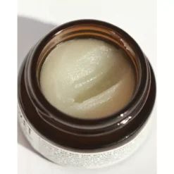 L:A Bruket 271 Recovery Lip Mask 15 Gr. -Biotherm Salgsbutik la bruket 271 recovery lip mask 15 ml 1679390217